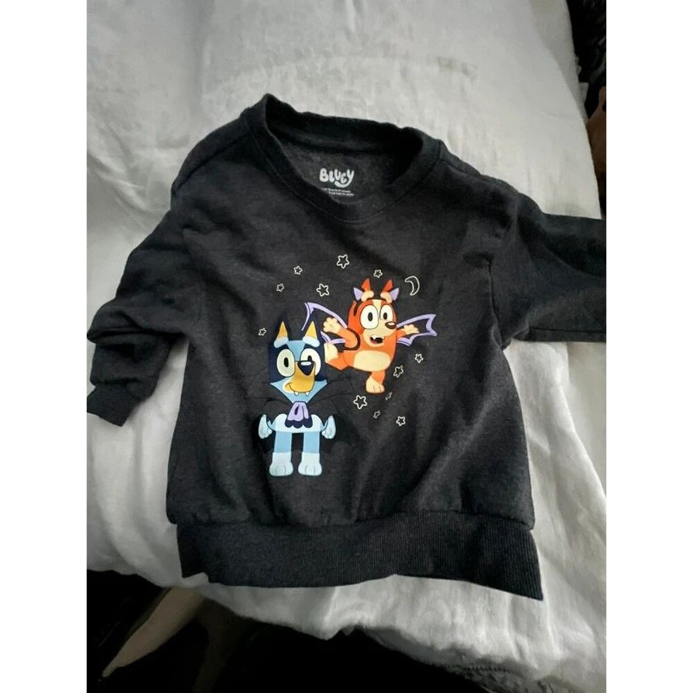Kids Bluey Fleece Pullover